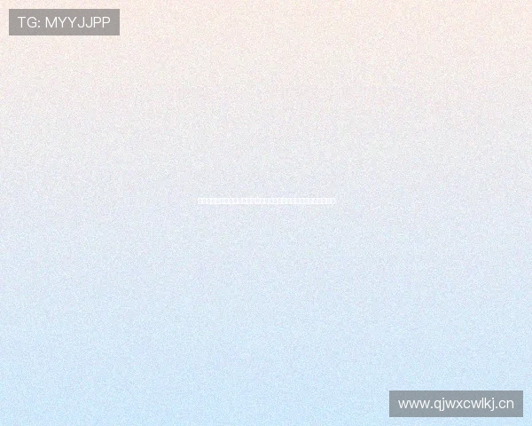 火兔网络官网全方位数字营销与品牌建设服务平台一站式解决方案中心